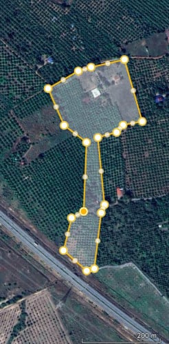 ដីចំការស្វាយលក់ជាង ៧ហិចតា