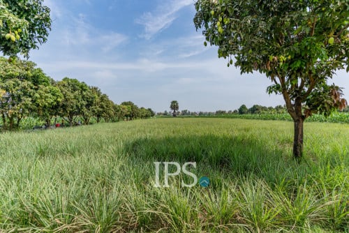 #សម្រាប់លក់ 🏗 ដីទំហំ 4,257 ម៉ែត្រការេ -📍អរិយក្សត្រ, កណ្តាល