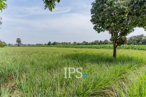 #សម្រាប់លក់ 🏗 ដីទំហំ 4,257 ម៉ែត្រការេ -📍អរិយក្សត្រ, កណ្តាល