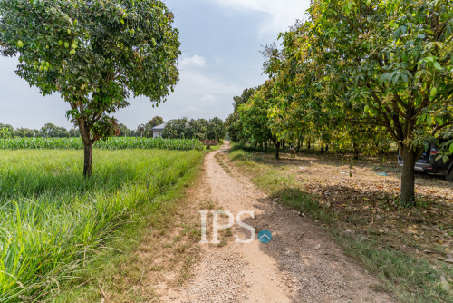 #សម្រាប់លក់ 🏗 ដីទំហំ 4,257 ម៉ែត្រការេ -📍អរិយក្សត្រ, កណ្តាល