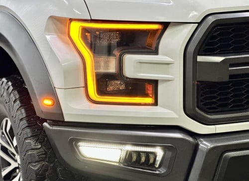 Ford F150 Raptor 2019