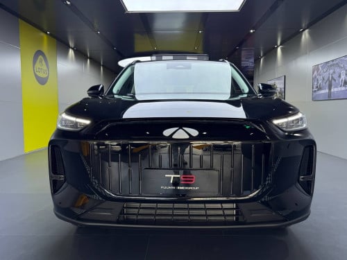 Fulwin T9