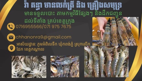 ត្រីងៀត ត្ររស់ និងបង្កងស្រស់ៗ