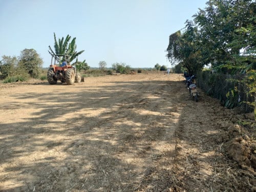 ដីលក់