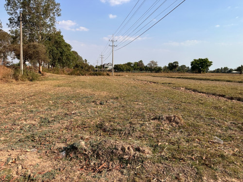 ដីសំរាប់លក់ផ្លូវជាតិលេខ៦A ខ្ញុំម្ចាស់ផ្ទាល់ភូមិស្ពានតូច ឃុំឬស្សីលក ស្រុកជីក្រែងត្តំលៃ235,000$ចរចា