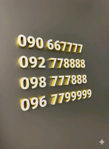 096 7799999