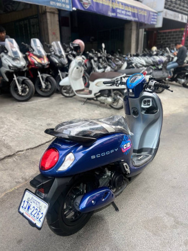 Honda Scoopy 2023 ស្លាក​លេខ​ហេីយ​ ស្អាតថ្មី98%