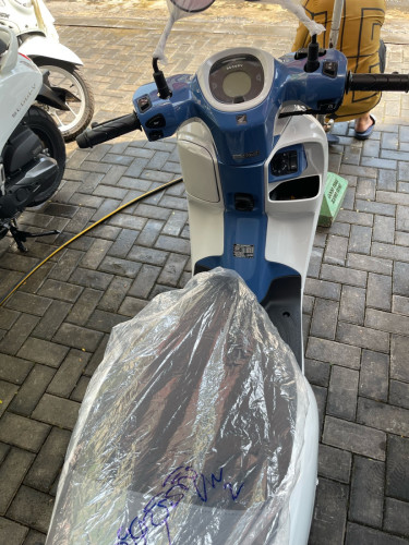 Honda scoopy club 2026