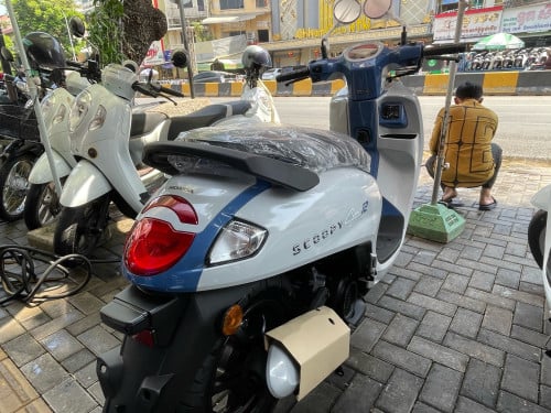 Honda scoopy club 2026