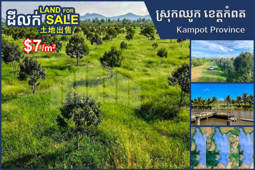 Urgent Land for Sale Along Canal, Chhouk, Kampot
