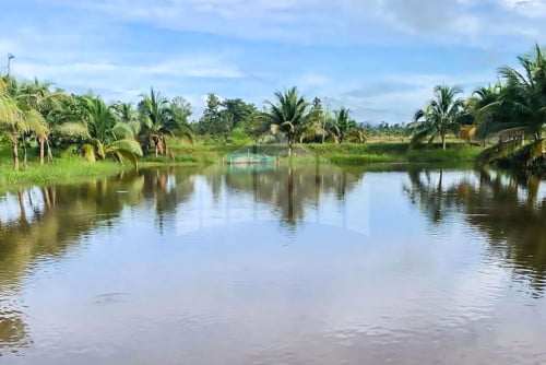 Urgent Land for Sale Along Canal, Chhouk, Kampot