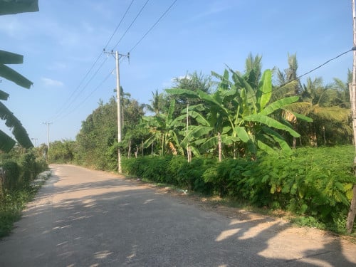 ដីលក់នៅសង្កាត់ស្វាយរលំ ក្រុងតាខ្មៅ