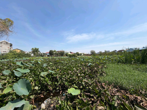 ដីលក់បន្ទាន់ជិតផ្លូវកប់ស្រូវ_ប្លុកផែស្ងួតធំៗ