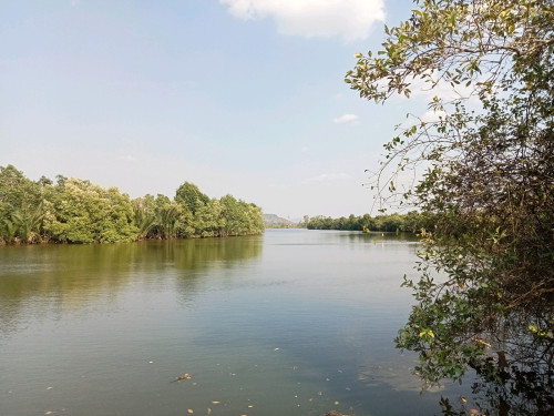 ដីជាប់ព្រែកធំកំពត