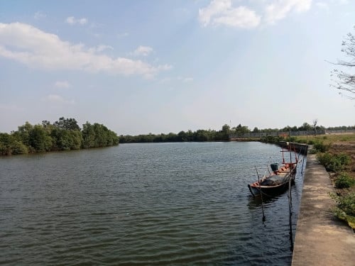 ដីជាប់ព្រែកធំកំពត