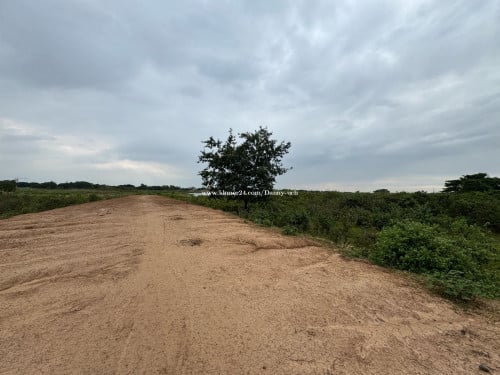 ដីលក់  (1ការ៉េ = $250) ចរចា
