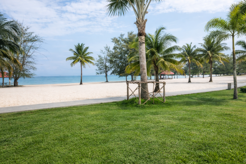 ជួលខុនដូ East Park Condominium, ក្រុងព្រះសីហនុតម្លៃ: 250$/ខែ