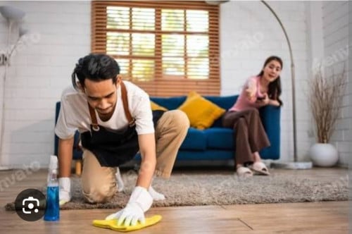 Free Cleaner house keeper for ladies or couple