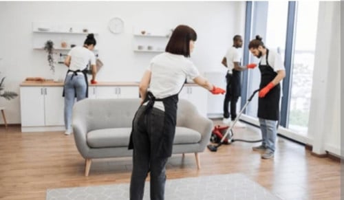 Free Cleaner house keeper for ladies or couple