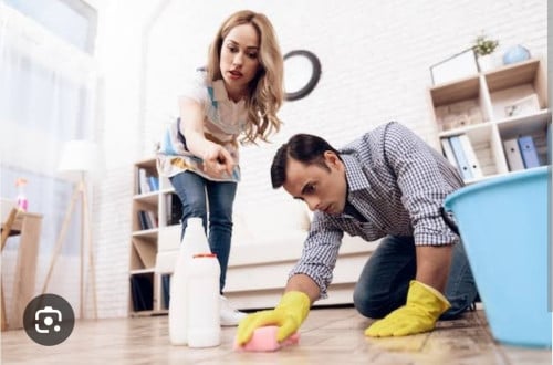 Free Cleaner house keeper for ladies or couple
