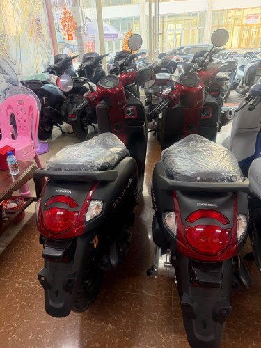 Honda Scoopy 2026 new