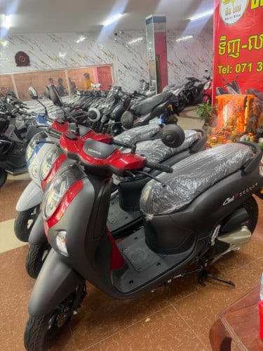 Honda Scoopy 2026 new