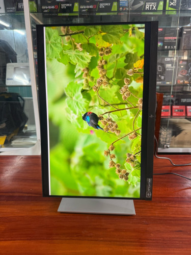 Monitor HP 24inch