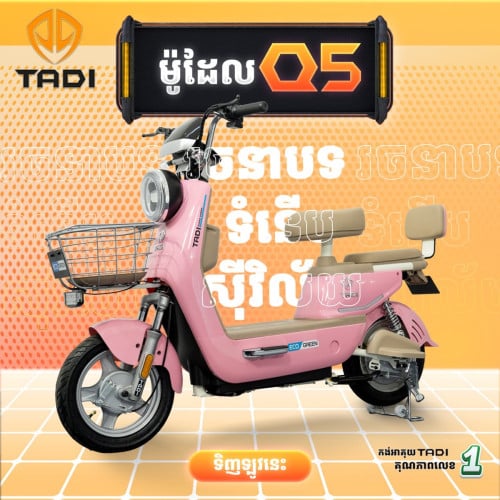 Q5 ឆ្នាំ 2026