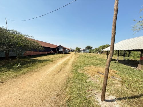 ដីលក់ ក្រោយផ្សារបាត់ដឹង  ជាប់ផ្លូវកែង