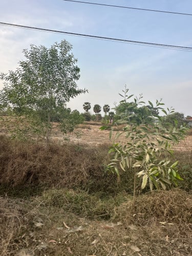 ដីលក់បន្ទាន់