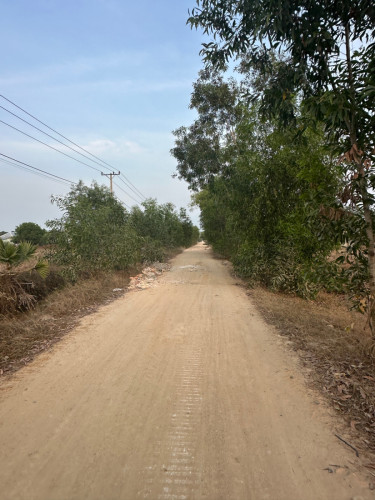 ដីលក់បន្ទាន់