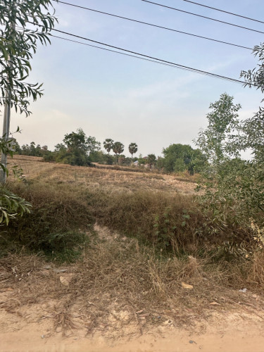 ដីលក់បន្ទាន់