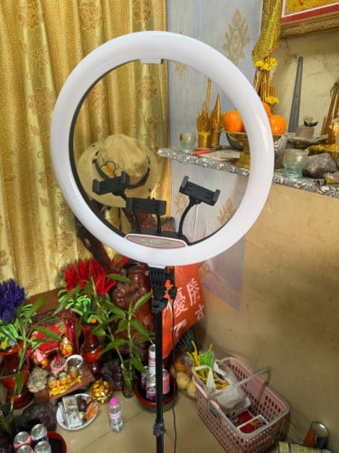 ដងឡាយបញ្ចុះតលៃ50%