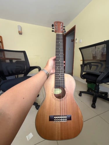 Acoustic guitar