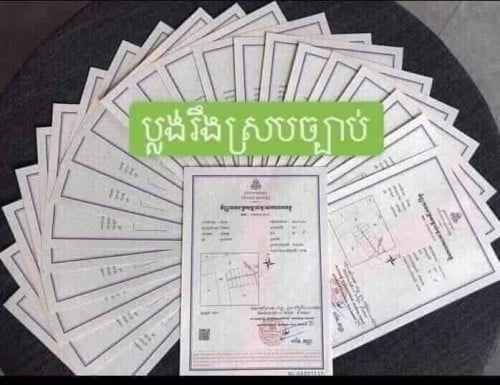 ផ្ទះលក់បន្ទាន់ ខេត្តសៀមរាប