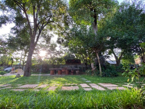 ស្វាយដង្គំ ទីតាំងជំនួញ
