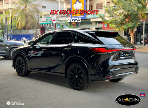 2025 Rx 500h