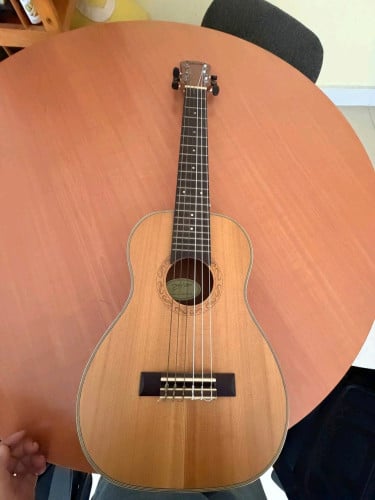 Acoustic guitar