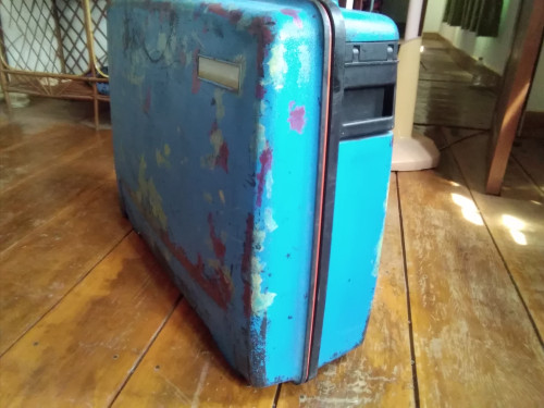 delsey suitcase