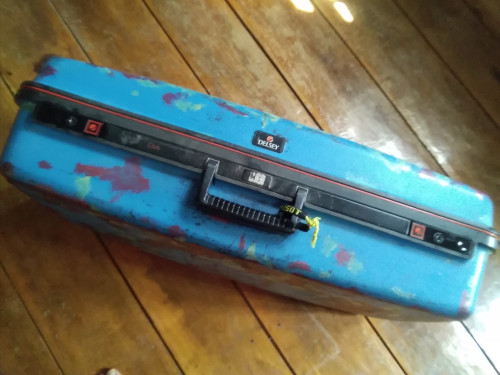 delsey suitcase