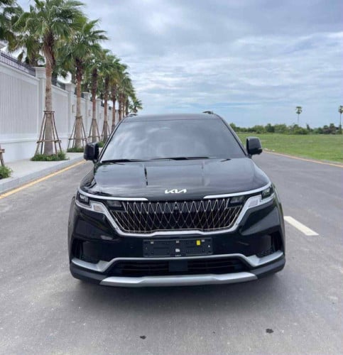 Kia carnival 022