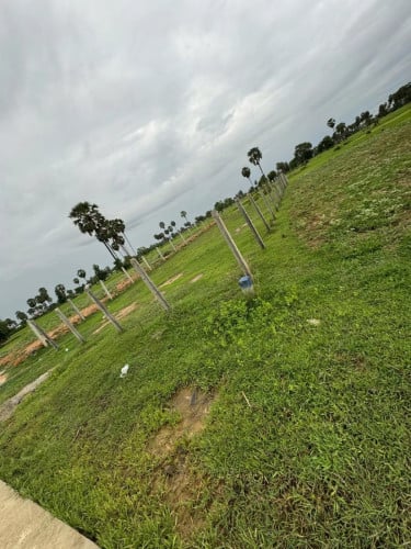ដីលក់ប្រញាប់