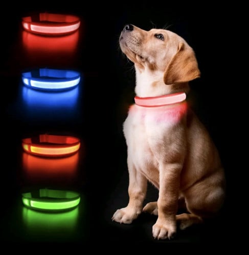 ប្រឡៅក LED សម្រាប់សត្វចិញ្ចឹម