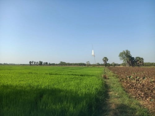 🏦Land Available for Urgent Sale at a Special Price (Negotiable).