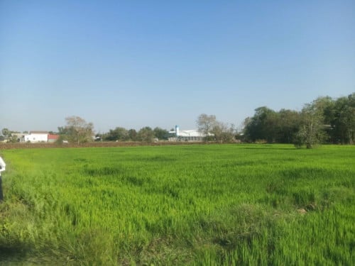 🏦Land Available for Urgent Sale at a Special Price (Negotiable).