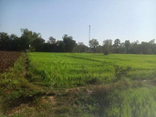 🏦Land Available for Urgent Sale at a Special Price (Negotiable).