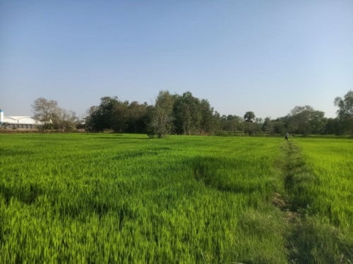 🏦Land Available for Urgent Sale at a Special Price (Negotiable).