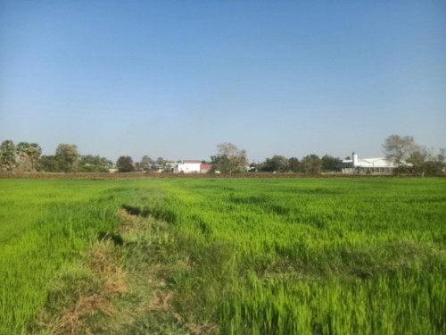 🏦Land Available for Urgent Sale at a Special Price (Negotiable).