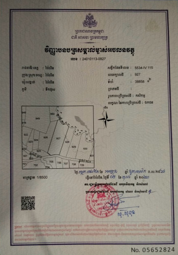 🔥 លក់បន្ទាន់! ដីចំការមៀន ប្លង់រឹង ប៉ៃលិន 🔥