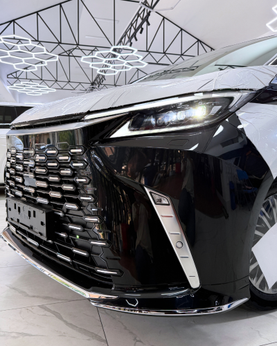 2025 Lexus LM500h VIP Seats